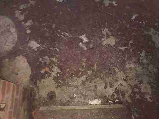 Testing again(46).jpg